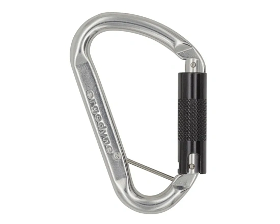 Type D Master Lock